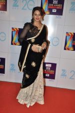 Huma Qureshi at Zee Awards red carpet in Mumbai on 6th Jan 2013 (136).JPG